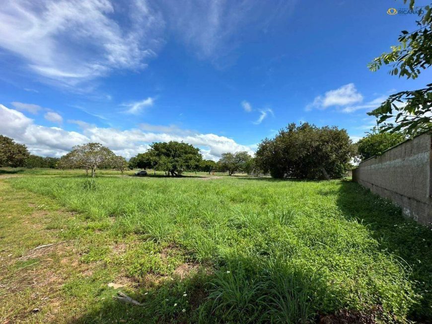 LOTE RESIDENCIAL DE 1.562,50M² NO POLINÉSIA