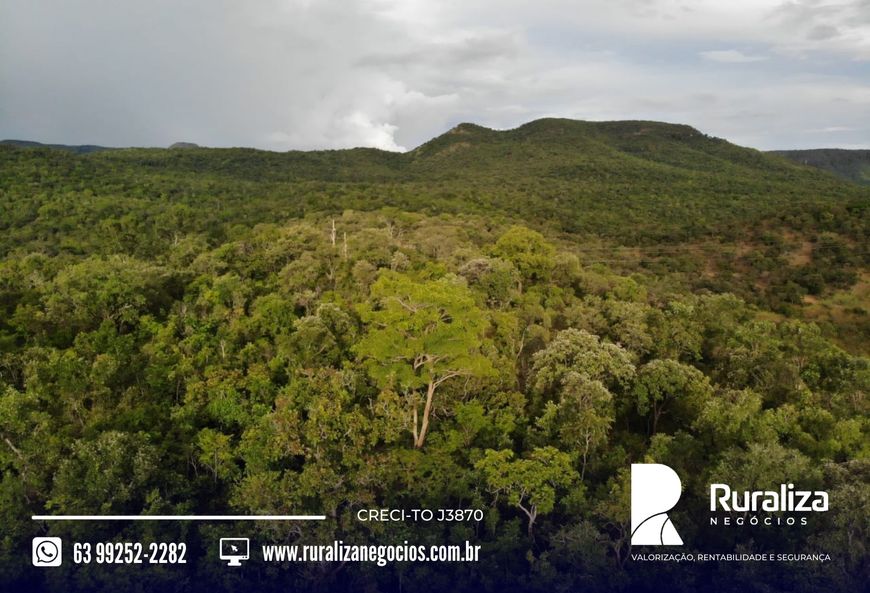 Fazenda/Sítio/Chácara para venda tem 25000 metros quadrados em Plano Diretor Norte - Palmas - TO