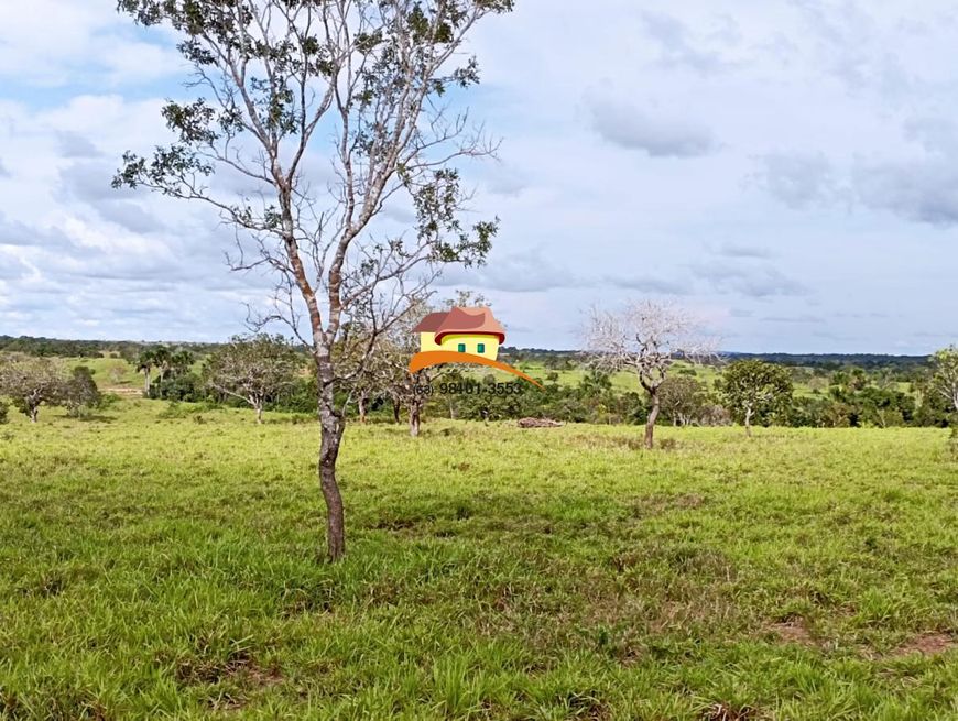 Fazenda para Venda em Palmas, Área Rural de Palmas