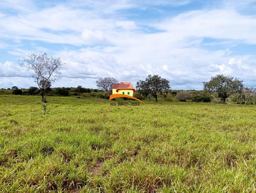 Fazenda para Venda em Palmas, Área Rural de Palmas