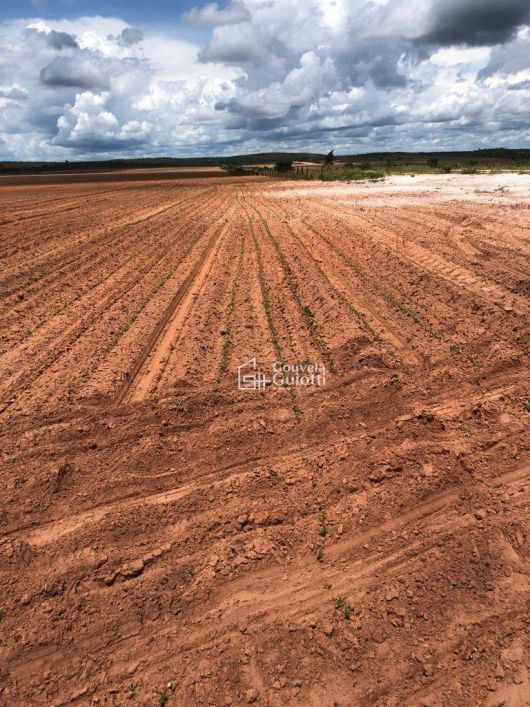 Fazenda à venda, m² por R$ 60.000.000,00 - Plano Diretor Norte - Palmas/TO
