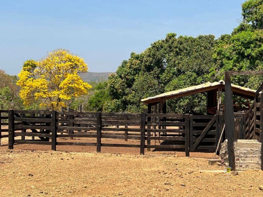 fazenda sentido aparecida do rio negro