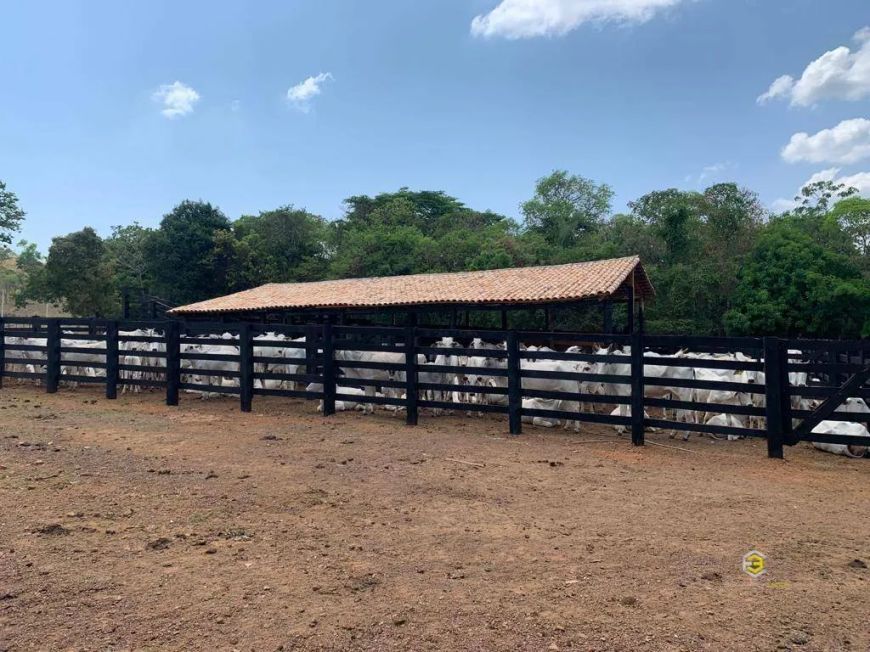 fazenda sentido aparecida do rio negro