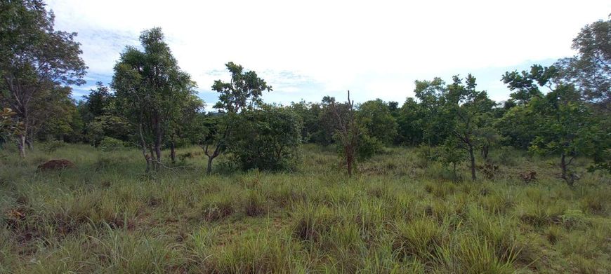 Chácara para venda na Área Rural de Palmas Tocantins - Loteamento de Chácaras Córrego Ronca - Km 19