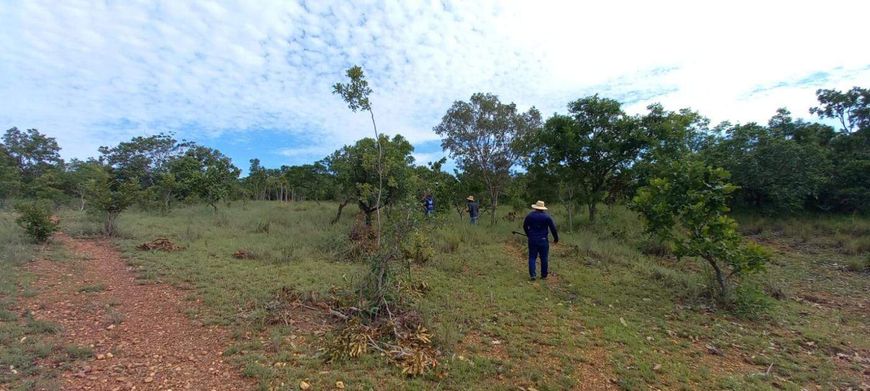 Chácara para venda na Área Rural de Palmas Tocantins - Loteamento de Chácaras Córrego Ronca - Km 19