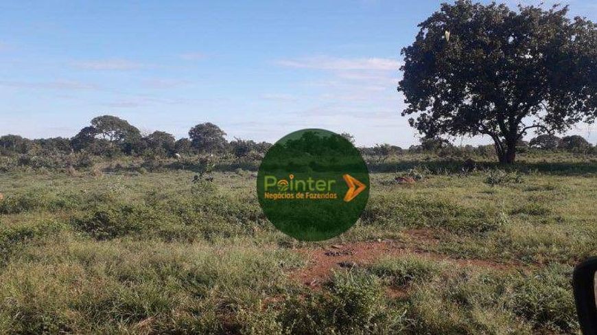 Fazenda à venda, 11180400 m² por R$ 15.000.000,00 - Zona Rural - Palmas/TO
