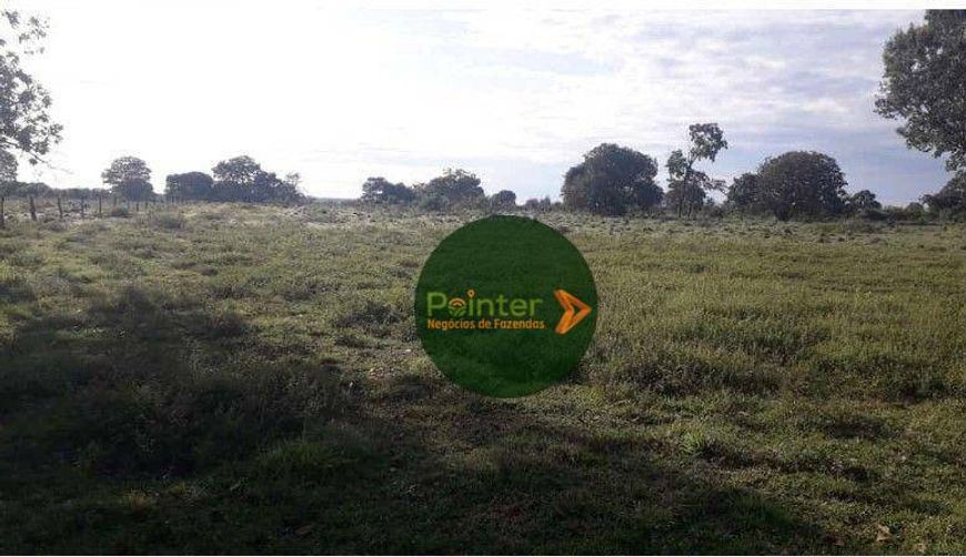 Fazenda à venda, 11180400 m² por R$ 15.000.000,00 - Zona Rural - Palmas/TO