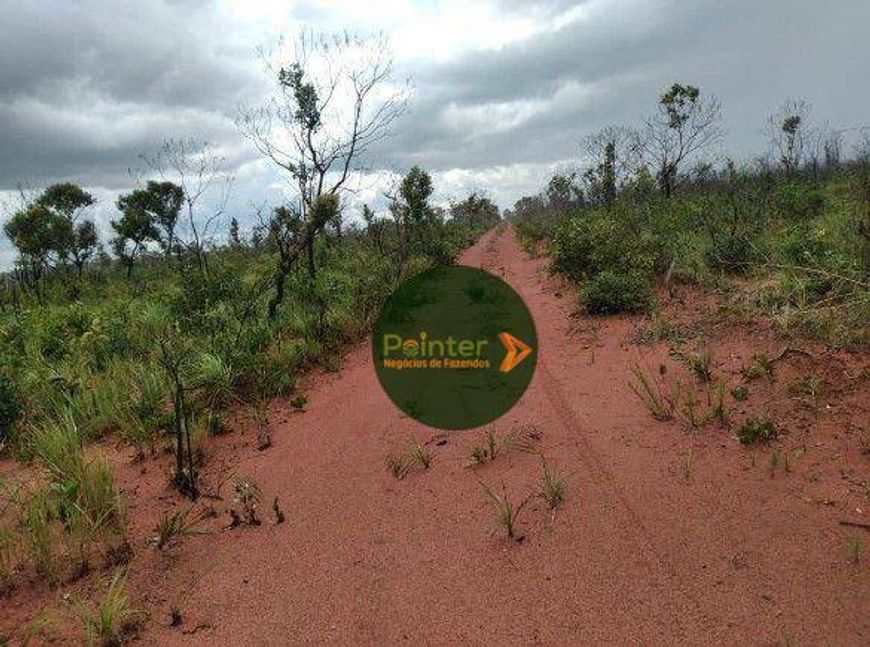 Fazenda à venda, por R$ 16.500.000 - Zona Rural - Palmas/TO