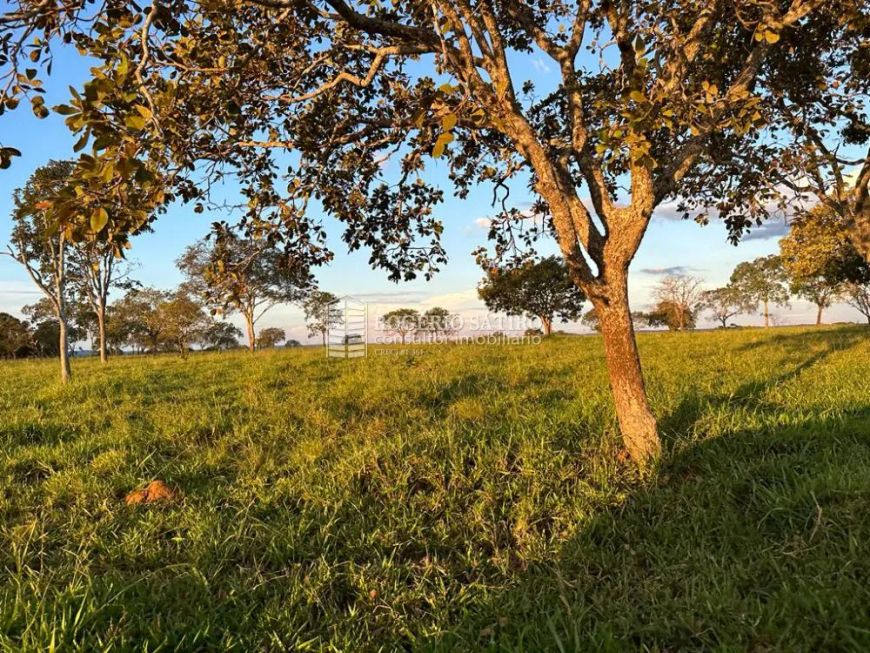 Fazenda magnífica à venda, na região mais nobre do estado do Tocantins! 706 hectares
