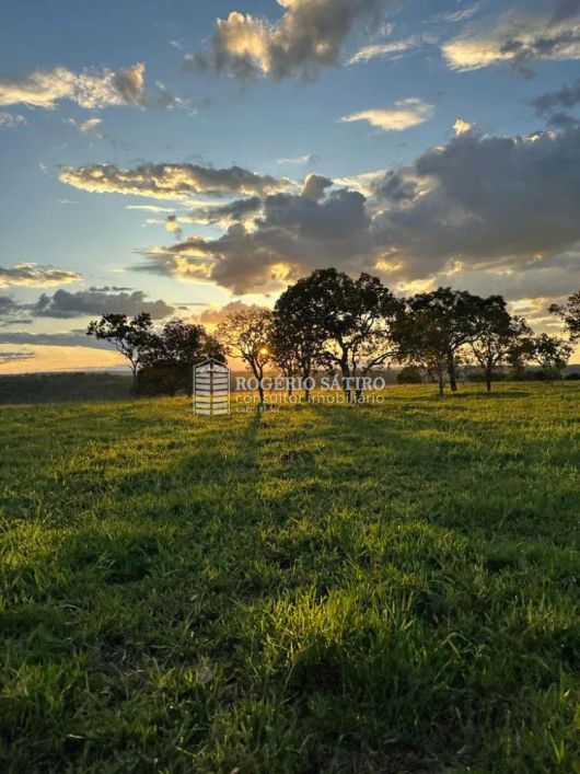 Fazenda magnífica à venda, na região mais nobre do estado do Tocantins! 706 hectares