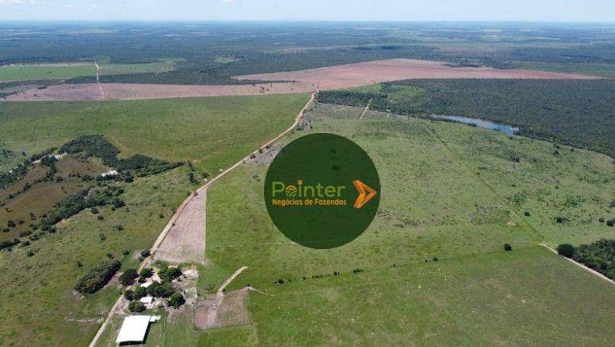 Fazenda à venda, m² por R$ 80.000.000,00 - Zona Rural - Palmas/TO