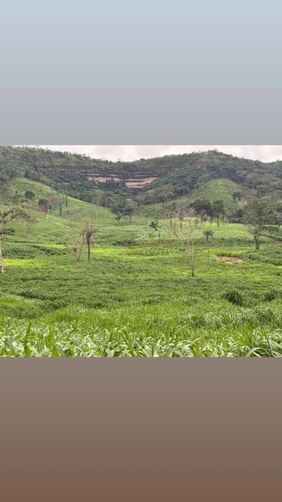 área de terra de 247 alqueires com excelente localização na região da cidade de