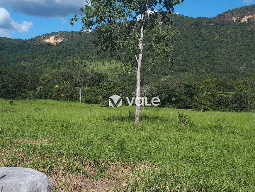 Fazenda à venda, 571120 m² por R$ 3.000.000,00 - Plano Diretor Norte - Palmas/TO