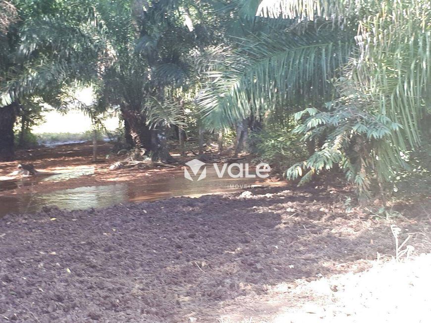 Fazenda à venda, 571120 m² por R$ 3.000.000,00 - Plano Diretor Norte - Palmas/TO