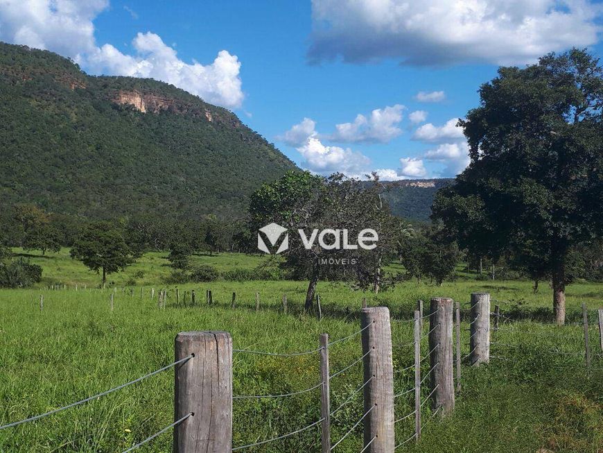 Fazenda à venda, 571120 m² por R$ 3.000.000,00 - Plano Diretor Norte - Palmas/TO