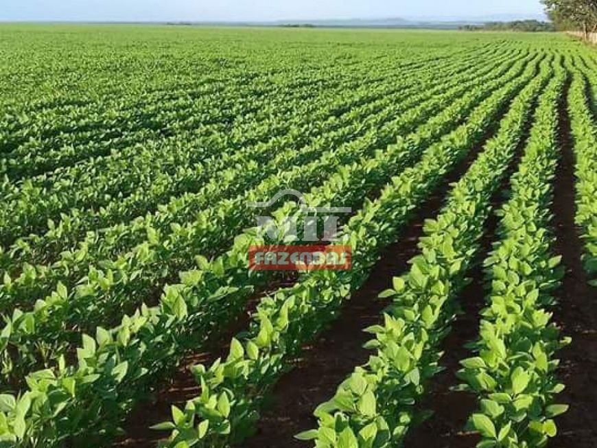 Fazenda Agrícola 70 km Palmas-TO. (300 Alqueires)