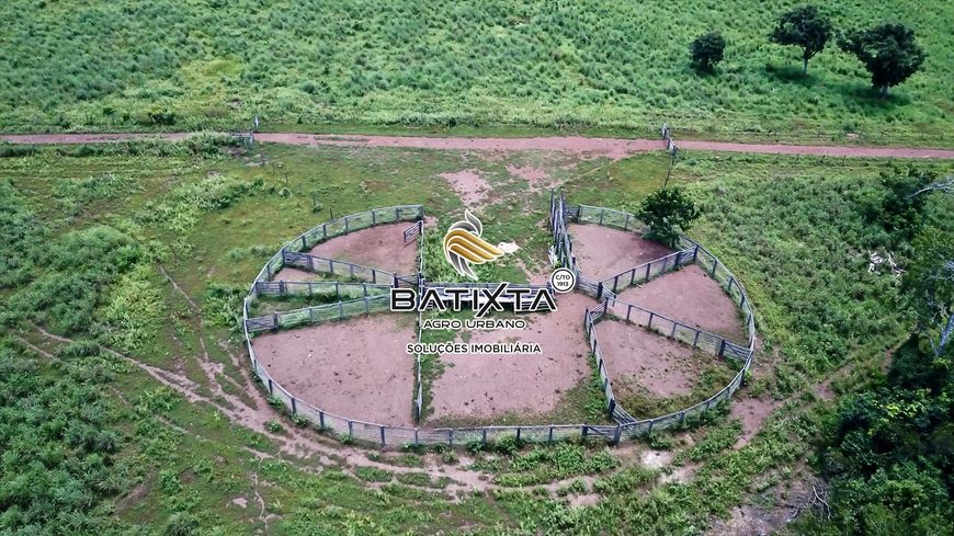 Fazenda 101 Alqueires, 70 Km de Palmas
