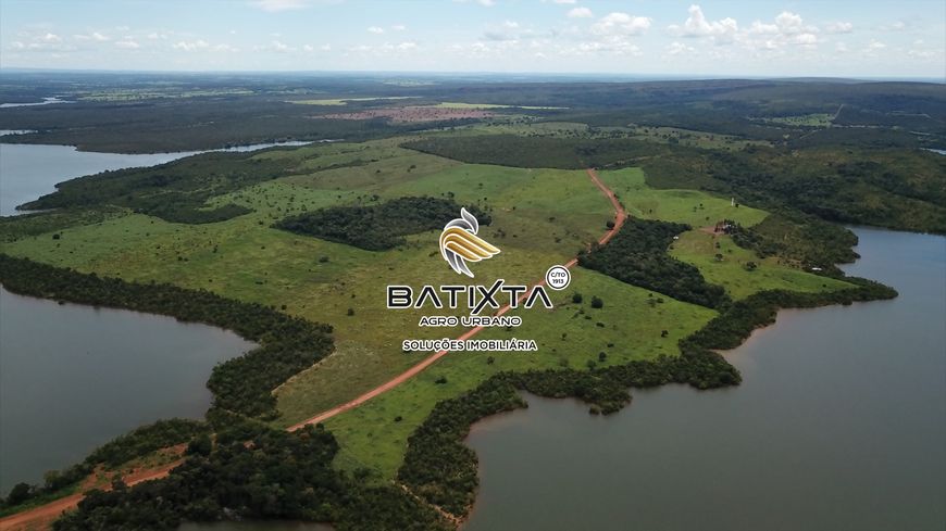 Fazenda 101 Alqueires, 70 Km de Palmas
