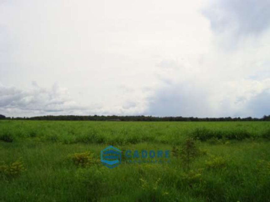 Área Rural, no Tocantis
