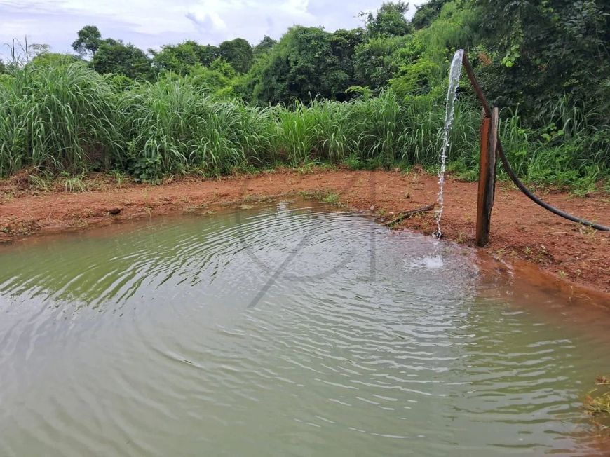 VENDE-SE FAZENDA COM 29 ALQUEIRES A 100 KM DE PALMAS