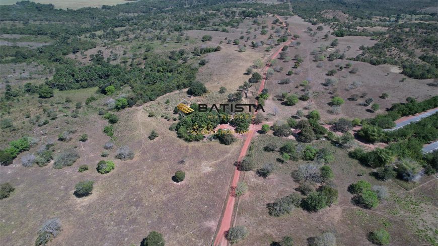 Fazenda 18 Alqueires com Granja, 80 km de Palmas