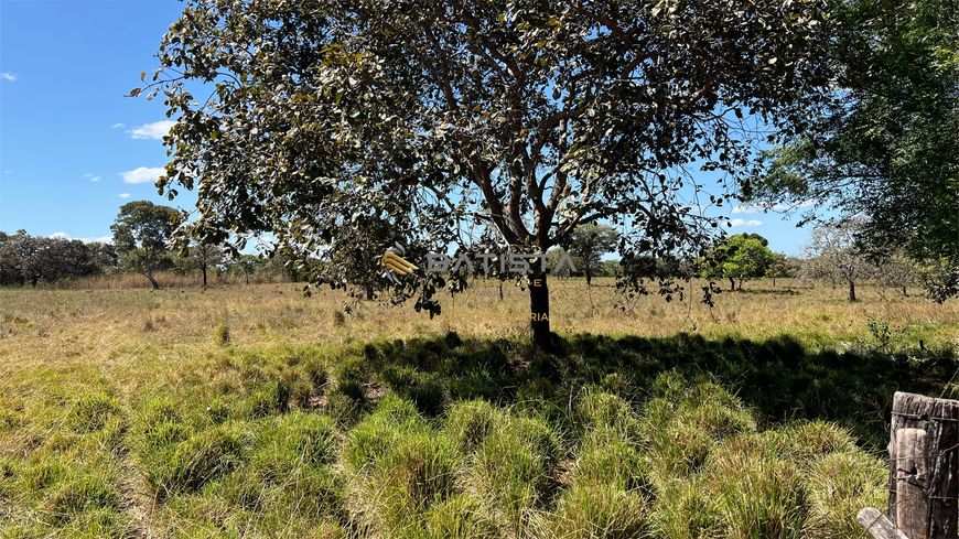 Fazenda 18 Alqueires com Granja, 80 km de Palmas