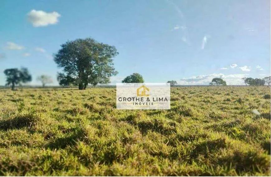 Excelente fazenda à venda na região do município de Palmas-TO.