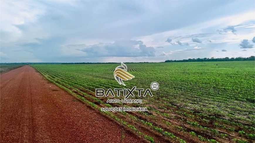 Fazenda com 230 alqueires, 120 km de Palmas