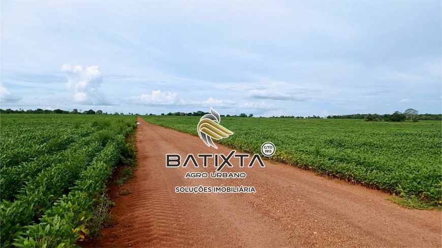 Fazenda com 230 alqueires, 120 km de Palmas