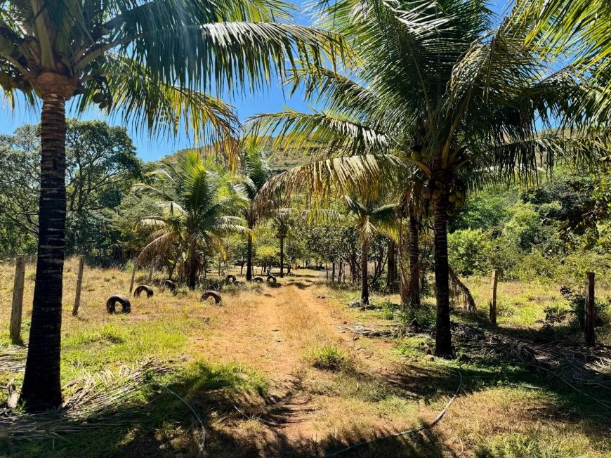 Chácara Com Rio, Serra de Lajeado, Lugar Perfeito-