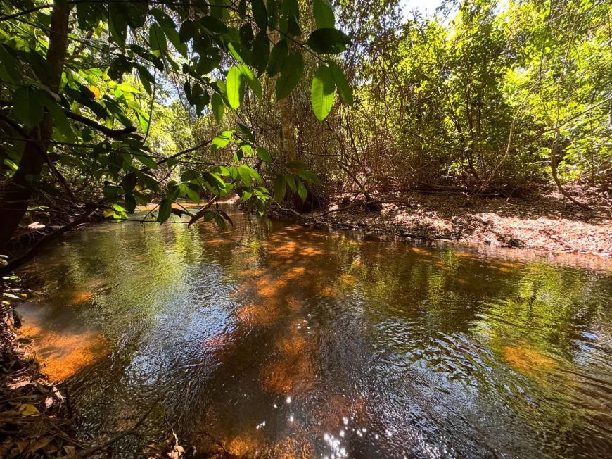 - Chácara Com Rio, Serra de Lajeado, Lugar Perfeito.