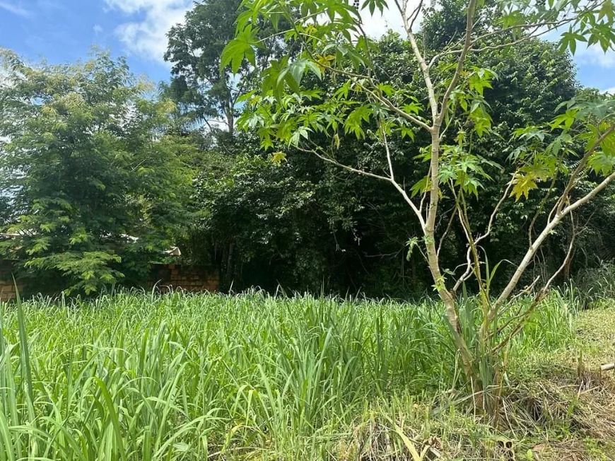VENDE-SE TERRENO DE CHÁCARA EM TAQUARUÇU POR R$ 400.000,00