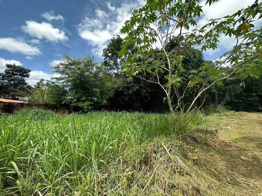 VENDE-SE TERRENO DE CHÁCARA EM TAQUARUÇU POR R$ 400.000,00