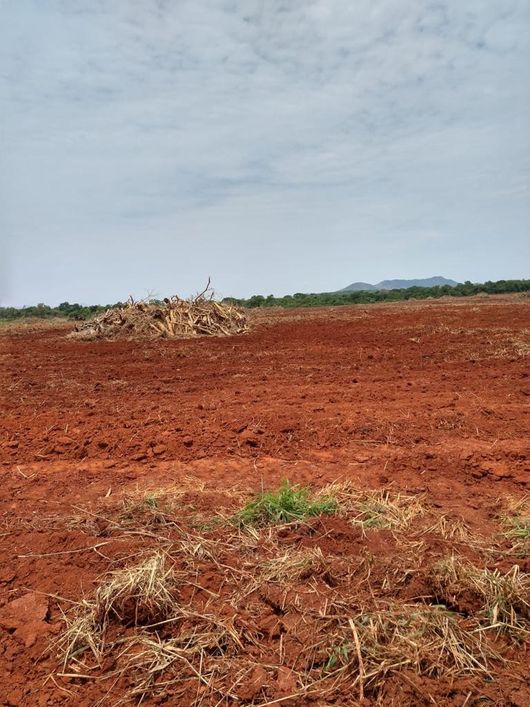 Fazenda de 400 Alqueires em Natividade-TO. Região de Safra e safrinha.