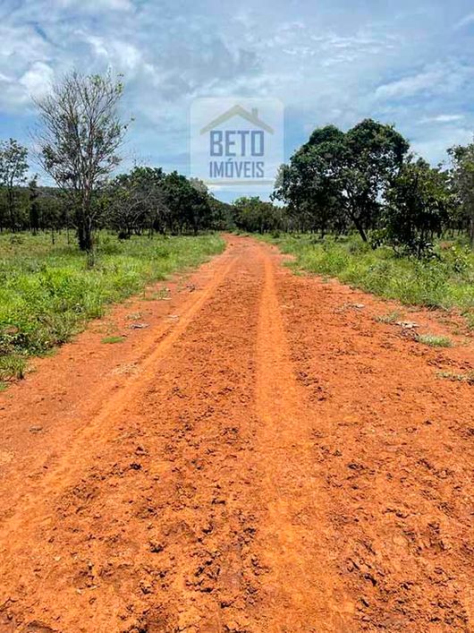Fazenda/Sítio/Chácara para venda com 285000000 metros quadrados em Plano Diretor Norte - Palmas - TO