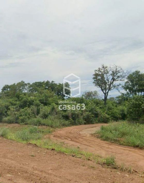 Lote - 803 sul