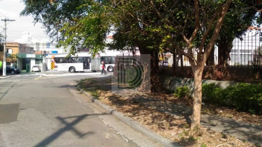 ALTO DA LAPA - TERRENO COM 710 METROS, PLANO - ZONEAMENTO Z-COR 2 - COMERCIAL