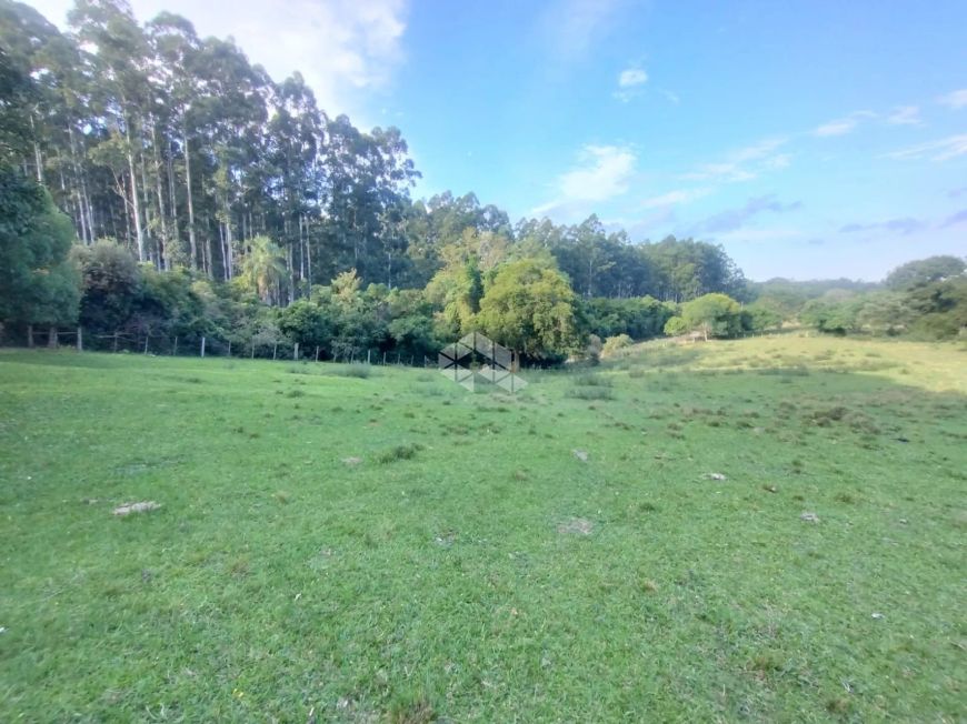 Propriedade Rural à Venda - 46 Hectares | Santa Maria/RS