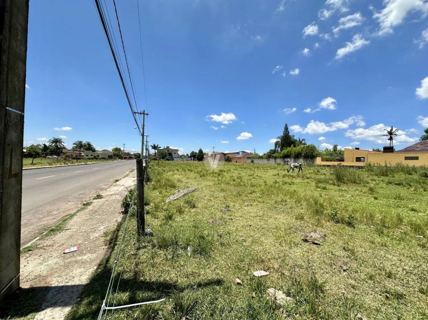 TERRENO NO PARQUE PINHEIRO MACHADO - PRONTO PARA CONSTRUIR