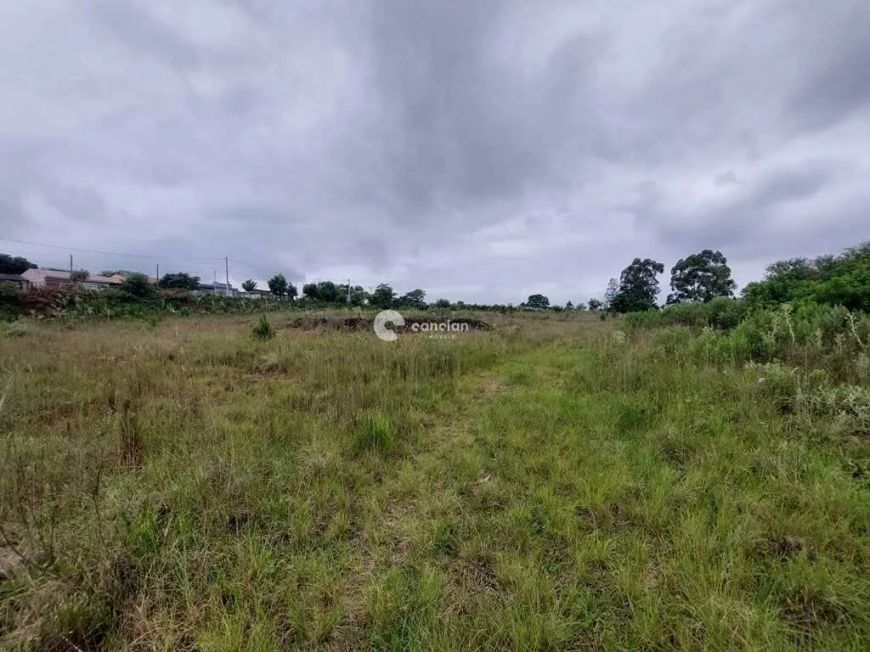 Terreno à venda, Boi Morto - Santa Maria/RS