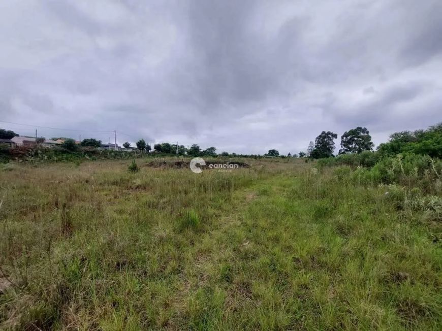 Terreno à venda, Boi Morto - Santa Maria/RS