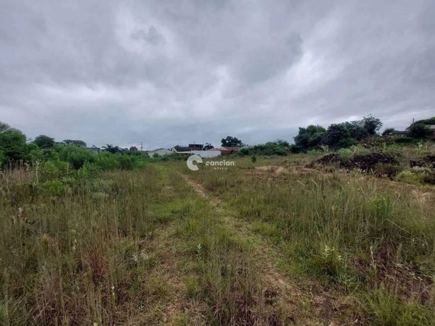 Terreno à venda, Boi Morto - Santa Maria/RS