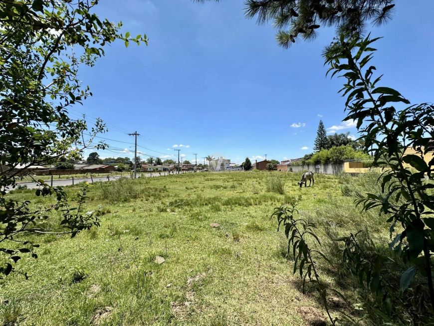 TERRENO DE ESQUINA NO PARQUE PINHEIRO MACHADO - PRONTO PARA CONSTRUIR