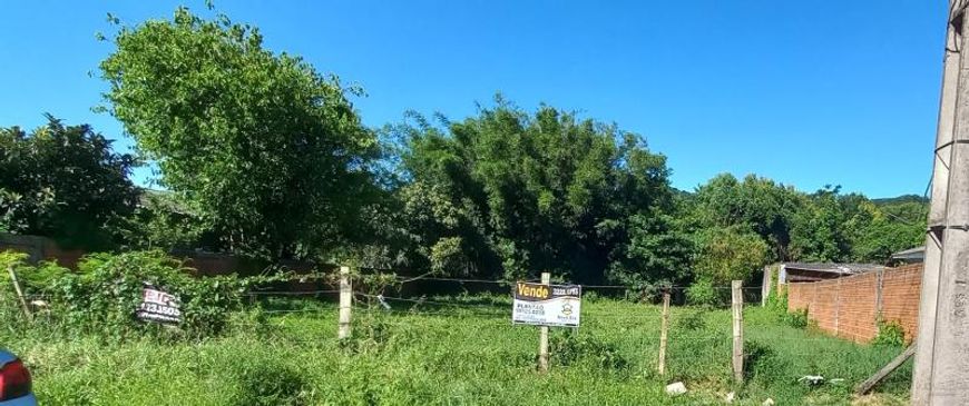 Terreno - Santa Maria RS