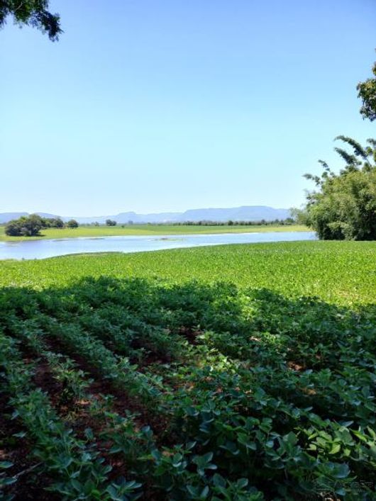 Sítio - Santa Maria RS