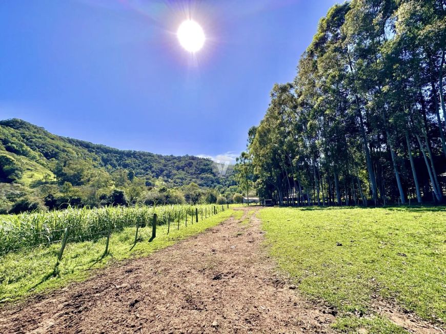 Chácara com 24 hectares à 20 minutos do centro de Santa Maria