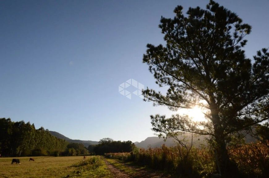 Terreno - Camobi - estrada que vai a três barras - Santa Maria/RS