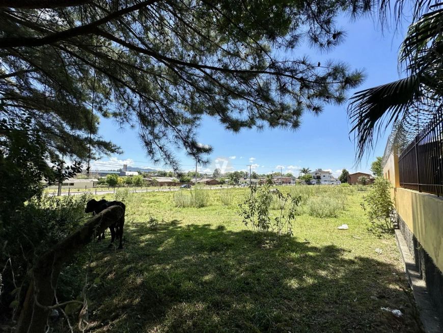 TERRENO DE ESQUINA NO PARQUE PINHEIRO MACHADO - PRONTO PARA CONSTRUIR