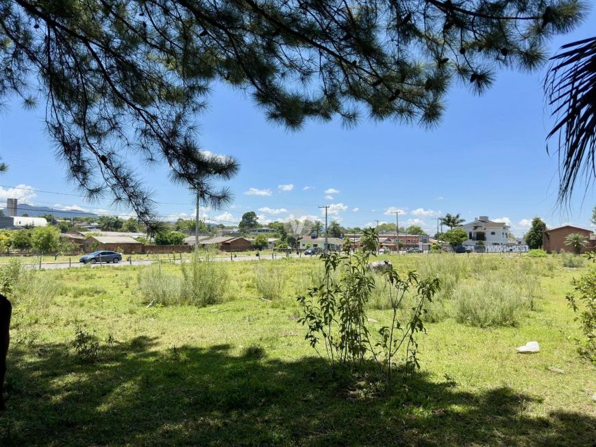 TERRENO DE ESQUINA NO PARQUE PINHEIRO MACHADO - PRONTO PARA CONSTRUIR