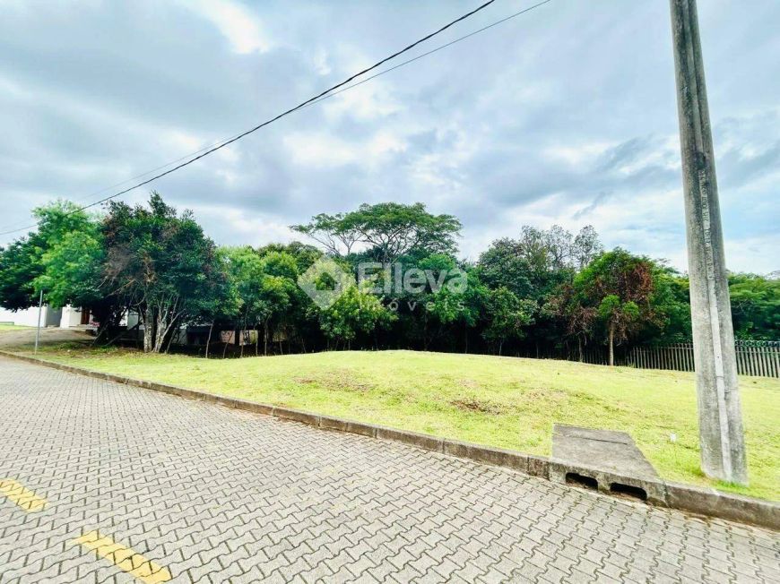 Terreno à Venda - Villa Lucchesi